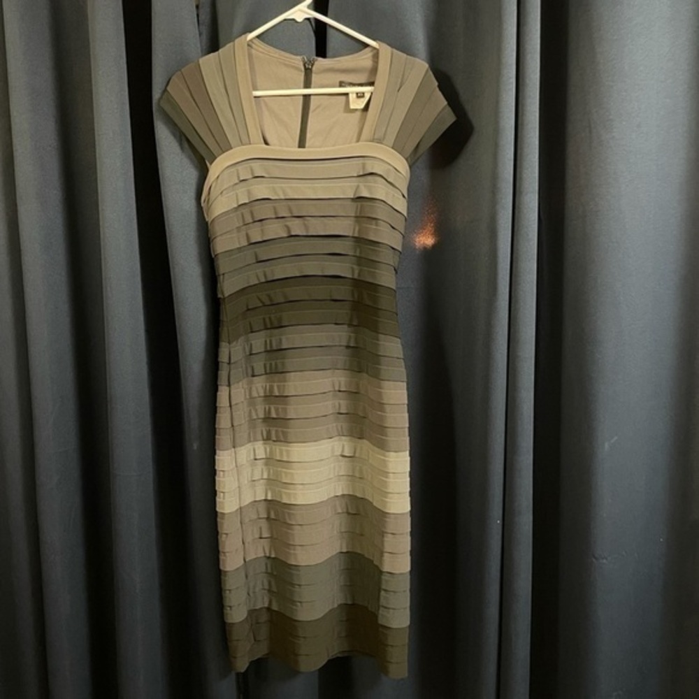 Tadashi Shoji ombré  dress